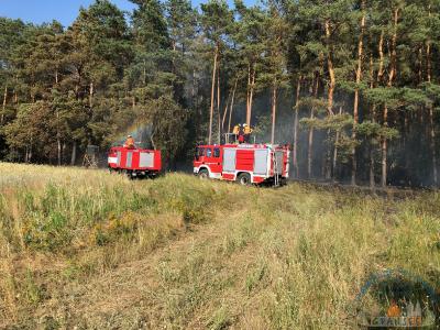 Foto des Albums: Einsatz 1426 B-Wald-Dannenwalde