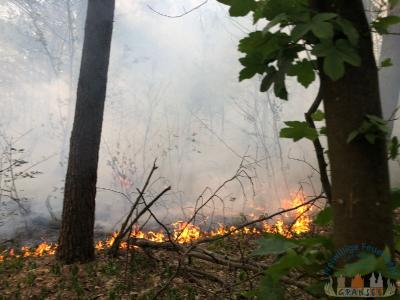 Foto des Albums: Einsatz 1426 B-Wald-Dannenwalde
