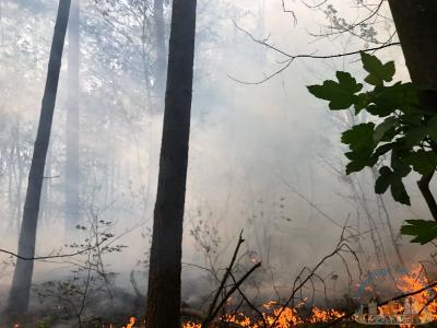 Foto des Albums: Einsatz 1426 B-Wald-Dannenwalde