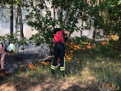 Foto des Albums: Einsatz 1426 B-Wald-Dannenwalde