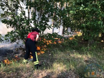 Foto des Albums: Einsatz 1426 B-Wald-Dannenwalde