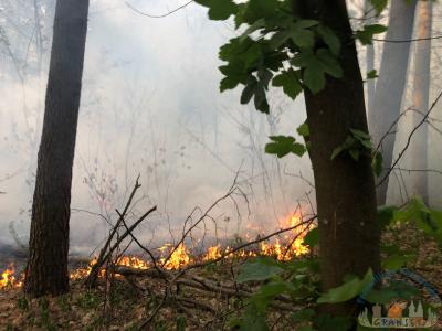Foto des Albums: Einsatz 1426 B-Wald-Dannenwalde