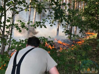 Foto des Albums: Einsatz 1426 B-Wald-Dannenwalde