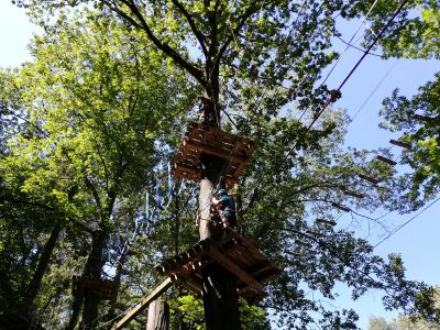 Foto des Albums: Hochseilgarten Klassen 3