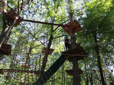 Foto des Albums: Hochseilgarten Klassen 3