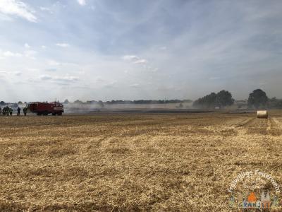 Foto des Albums: Einsatz 1582-B-Fläche-Schulzendorf, Rönnebecker Weg