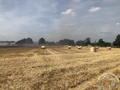 Foto des Albums: Einsatz 1582-B-Fläche-Schulzendorf, Rönnebecker Weg