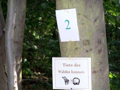 Foto des Albums: Waldjugendspiele im Wildpark - Serie 1 (09.07.2008)