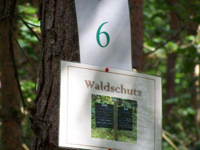 Foto des Albums: Waldjugendspiele im Wildpark - Serie 1 (09.07.2008)