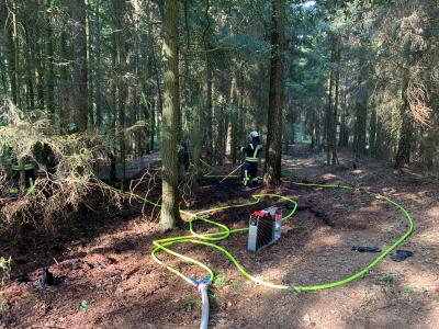 Foto des Albums: Waldbrand, Hofdienerweg