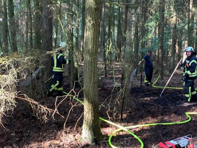 Foto des Albums: Waldbrand, Hofdienerweg