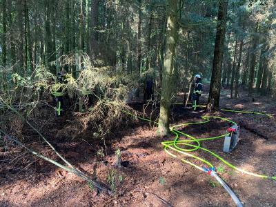 Foto des Albums: Waldbrand, Hofdienerweg