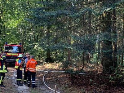 Foto des Albums: Waldbrand, Hofdienerweg