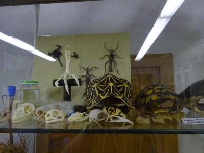 Foto des Albums: Impressionen vom Juli