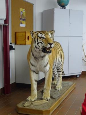 Foto des Albums: Impressionen vom Juli