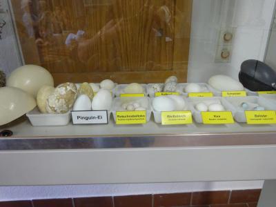 Foto des Albums: Impressionen vom Juli