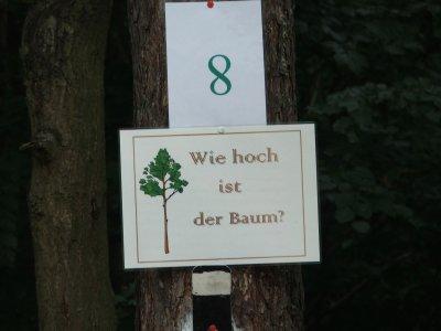 Foto des Albums: Waldjugendspiele im Wildpark - Serie 3 (09.07.2008)