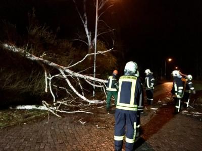 Foto des Albums: Technische Hilfeleistung 10.03.2019 Lauchhammer West