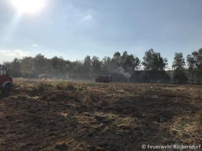 Foto des Albums: Brandeinsatz 17.08.2018 Lauchhammer-West , Alte Plessaer Straße