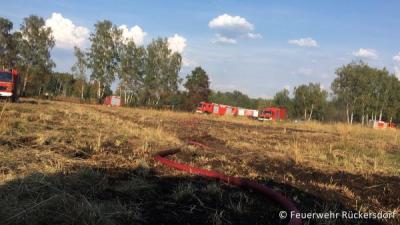 Foto des Albums: Brandeinsatz 17.08.2018 Lauchhammer-West , Alte Plessaer Straße