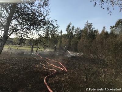 Foto des Albums: Brandeinsatz 17.08.2018 Lauchhammer-West , Alte Plessaer Straße