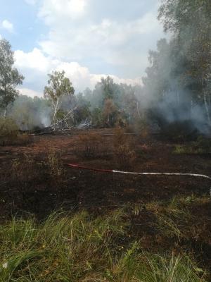 Foto des Albums: Brandeinsatz 17.08.2018 Lauchhammer-West , Alte Plessaer Straße