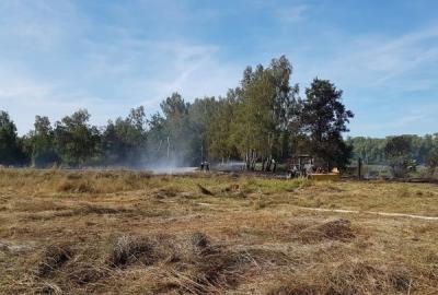 Foto des Albums: Brandeinsatz 12.08.2018 Lauchhammer-West -Plessa