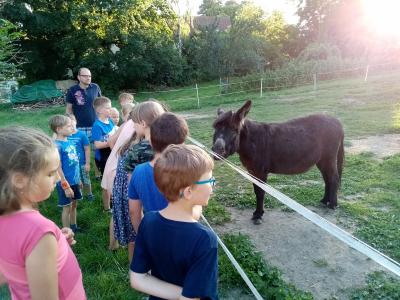 Foto des Albums: Wandertag Klasse 2 Schwanditz