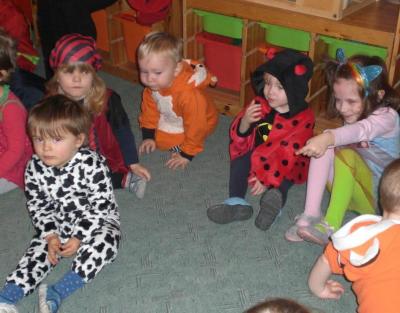 Foto des Albums: Tierisch was los - zum Fasching 2019