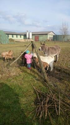 Foto des Albums: Unsere Tiere