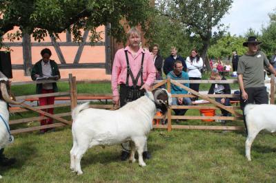 Foto des Albums: Bildergalerie vom Bockmarkt und der Landesziegenschau (01. 08. 2011)