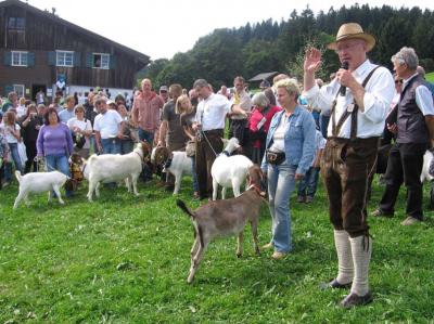 Foto des Albums: Dritter Aktionstag der schwäbischen Ziegenzüchter zum 90. jährigen (12. 09. 2010)