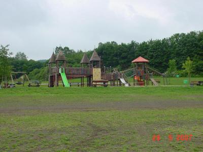 2007-85 