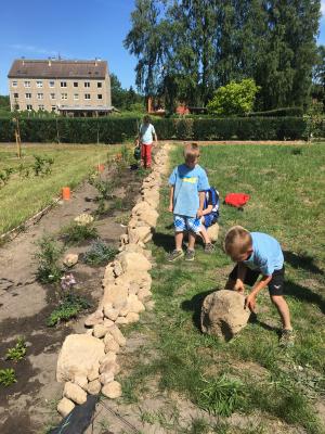 Foto des Albums: Schulgarten 2017/2018