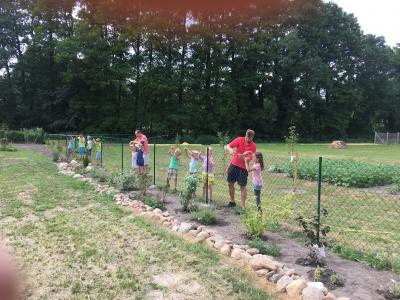 Foto des Albums: Schulgarten 2017/2018
