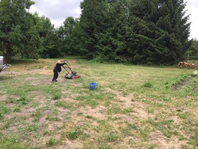 Foto des Albums: Schulgarten 2017/2018