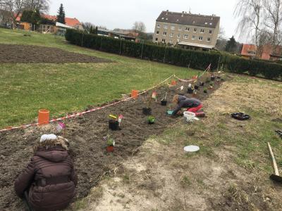 Foto des Albums: Schulgarten 2017/2018