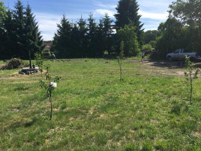 Foto des Albums: Schulgarten 2017/2018