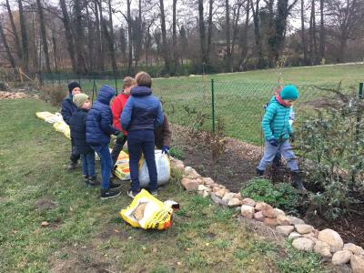 Foto des Albums: Schulgarten 2018/2019