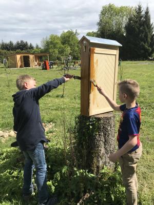 Foto des Albums: Schulgarten 2018/2019