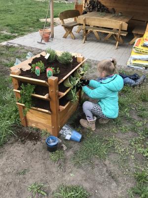 Foto des Albums: Schulgarten 2018/2019