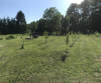 Foto des Albums: Schulgarten 2018/2019