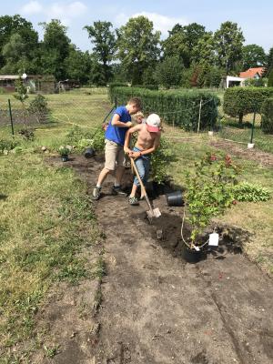 Foto des Albums: Schulgarten 2018/2019