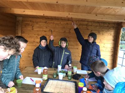 Foto des Albums: Schulgarten 2018/2019