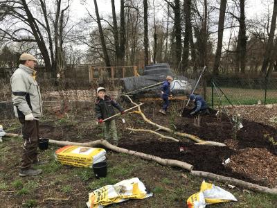 Foto des Albums: Schulgarten 2018/2019