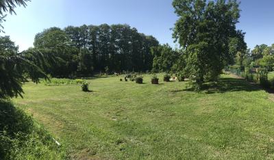 Foto des Albums: Schulgarten 2018/2019