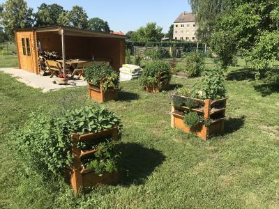 Foto des Albums: Schulgarten 2018/2019