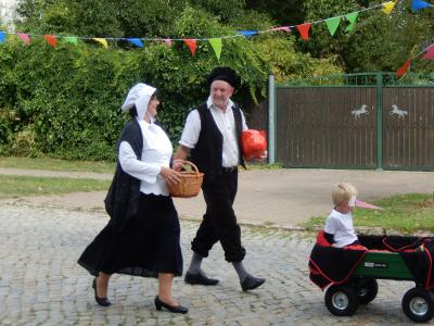 Foto des Albums: 700 Jahre Krampfer
