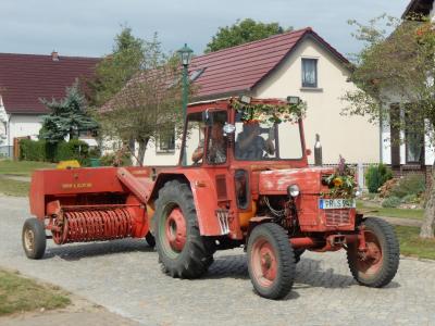 Foto des Albums: 700 Jahre Krampfer