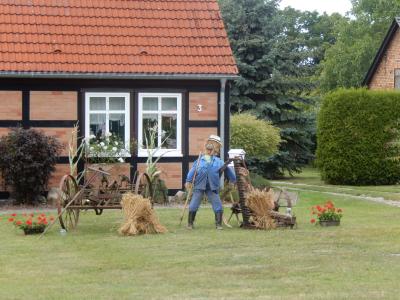 Foto des Albums: 700 Jahre Krampfer